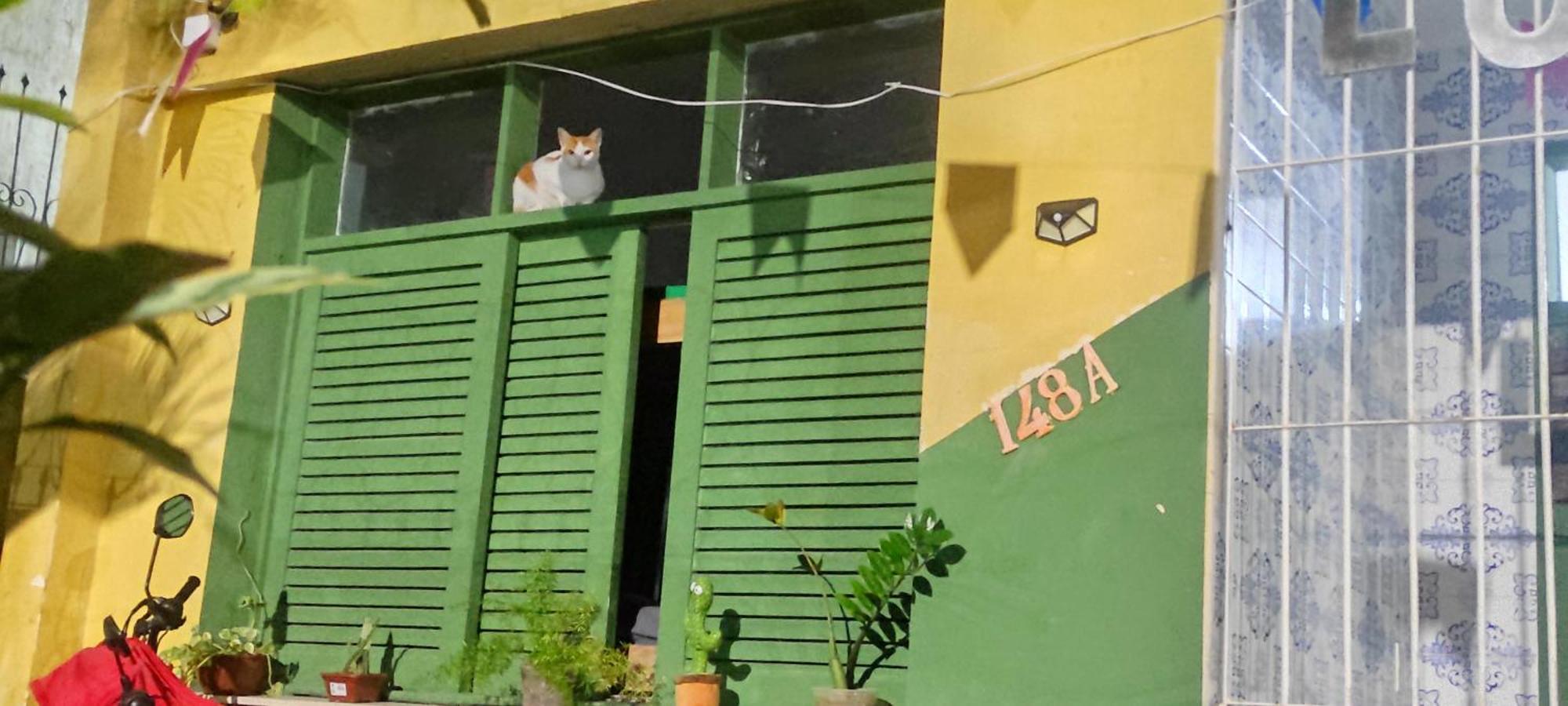 סלבאדור Lord Hostel מראה חיצוני תמונה